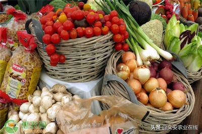 农产品如何注册商标？食用农产品商标注册全流程与费用详解