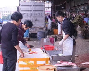 大沥4月食用农产品快检结果出炉 合格率高达99.28%，守护舌尖安全